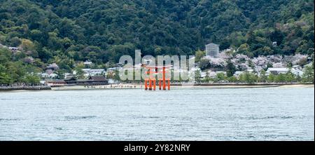 Itsukushima-Schrein, schimmerndes Torii-Tor im Wasser, Hügel und Gebäude der Insel Miyajima, Japan in der Sakura-Blütezeit, Blick von der Fähre Stockfoto