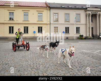 Ein Hundeteam mit einem Wohnwagen auf dem Marktplatz in Karlshamn. Stockfoto