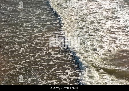 Surfen am Strand Surfen Sie am Strand in Scheveningen bei Sonnenuntergang. Den Haag, Niederlande. Raue Nordsee, Wellen, Sommer, Tag. niederlande die hauge B97A7364 Stockfoto