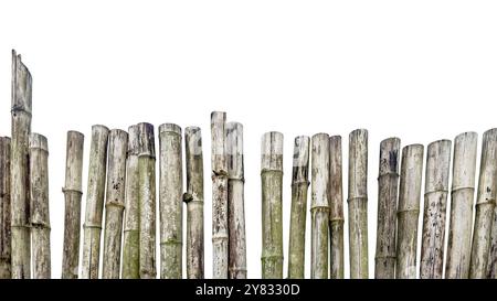 Aus einem alten, verwitterten Bambuszaun mit einem grauen Farbton geschnitten, der Anzeichen von Verfall zeigt, mit präzisen Beschneidungspfaden auf weißem Hintergrund. Stockfoto