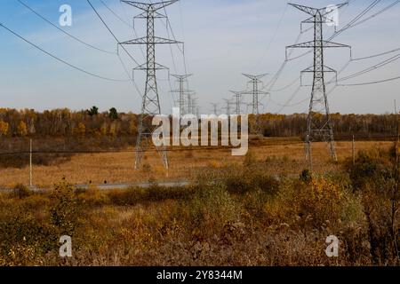 Hydro Lines im Herbst Stockfoto