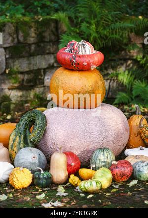 Verschiedene Farben und Größen von in Kürbissen in Pyramidenform auf der Gartenterrasse. Herbstgarten- oder Erntekonzept. Thanksgiving Tag oder Halloween. Stockfoto