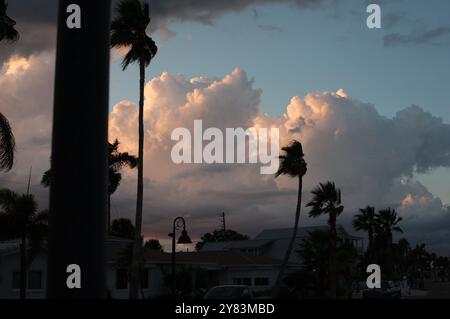 Horizontaler Blick auf Palmen in Richtung St. Pete Beach, FL in Richtung Golf von Mexiko. Nahe Sonnenuntergang am späten Nachmittag. Goldene bunte Wolken Stockfoto