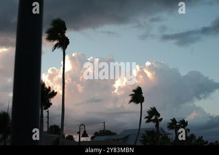 Horizontaler Blick auf Palmen in Richtung St. Pete Beach, FL in Richtung Golf von Mexiko. Nahe Sonnenuntergang am späten Nachmittag. Goldene bunte Wolken Stockfoto