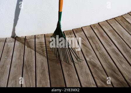 Blattrechen im Sonnenlicht: Ein Blick auf den Herbst Stockfoto