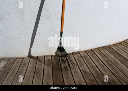 Blattrechen im Sonnenlicht: Ein Blick auf den Herbst Stockfoto