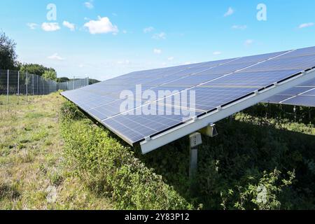 Solarpaneele auf einem Feld für die Erzeugung erneuerbarer Energien, Photovoltaikanlagen und Solartechnologieindustrie, Blue Sky, Kopierraum, ausgewähltes foc Stockfoto