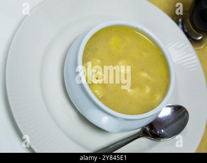 Hausgemachte Nudelsuppe Stockfoto