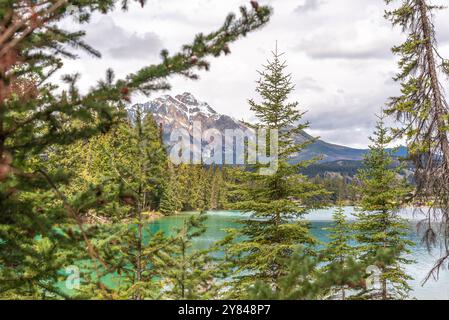 Atemberaubende Szenen rund um den Beauvert Lake im Jasper National Park mit unglaublich schönen Farben im Wasser rund um die beliebte Gegend Kanadas. Stockfoto