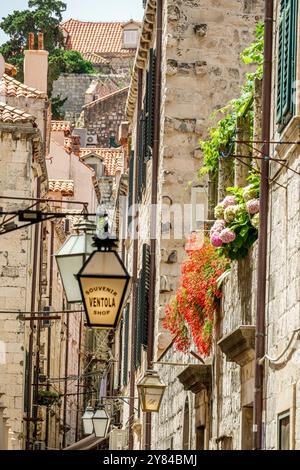 Dubrovnik Kroatien, Altstadt, Ulica Izmedu Polaca Straße, enge Gasse, Ventola Souvenir Shop Lampe, Wohnhäuser, kroatische Balkanregion Europa Stockfoto