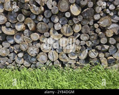 Holzstapel mit vielen geschnittenen Baumstämmen und einer grünen Wiese im Vordergrund, Bayern, Deutschland, Europa Stockfoto