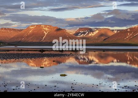 Fjord, Ebbe, Steine, Berge im Wasser reflektiert, Abendlicht, bewölkte Stimmung, Thingeyri, Westfjorde, Island, Europa Stockfoto