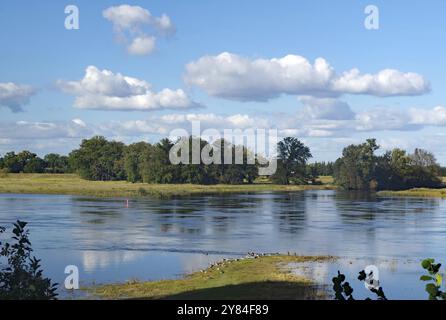 Ein ruhiger Fluss mit Bäumen am Ufer, der den blauen Himmel und weiße Wolken reflektiert, Gartow, Elbe Niedersachsen, Deutschland, Europa Stockfoto