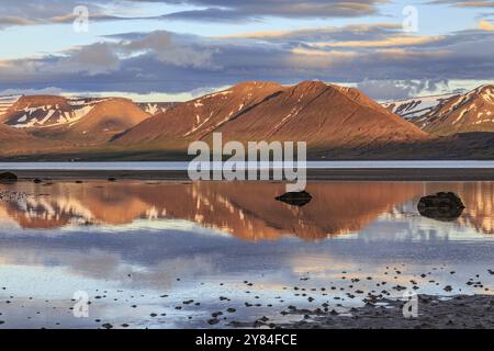 Fjord, Ebbe, Steine, Berge im Wasser reflektiert, Abendlicht, bewölkte Stimmung, Thingeyri, Westfjorde, Island, Europa Stockfoto