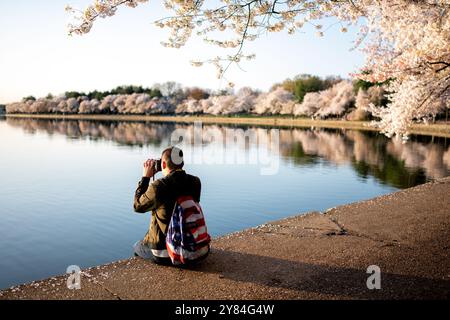 WASHINGTON DC, USA – Besucher machen Fotos von Kirschblüten in voller Blüte entlang des Tidal Basin in Washington DC. Touristen und Einheimische dokumentieren mit Smartphones und Kameras das jährliche Spektakel rosa und weißer Blumen und schaffen eine lebendige Atmosphäre während des Höhepunkts des National Cherry Blossom Festivals. Das Jefferson Memorial ist im Hintergrund zu sehen, eingerahmt von den blühenden Yoshino-Kirschbäumen. Stockfoto