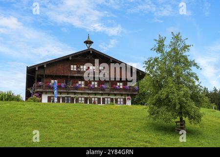 Altes bayerisches gasthaus auf einem Hügel mit Birnenbaum, Irschenberg, Bayern, Deutschland, Europa Stockfoto