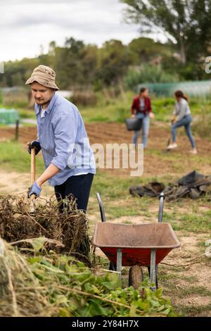 Der Mann nimmt einen Haufen Zweige heraus, bringt Müll in die Schubkarre Stockfoto