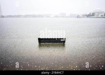 WASHINGTON DC – gefallene Kirschblüten schweben auf Überschwemmungen, die eine Parkbank am Tidal Basin untertauchen, wobei das Jefferson Memorial im Hintergrund zu sehen ist. Diese regelmäßigen Überschwemmungen, die durch steigende Wasserstände und verfallene Meeresmauern verursacht werden, bedrohen die historischen Bäume und veranlassten ein mehrjähriges Wiederaufbauprojekt, das 2024 begann. Stockfoto