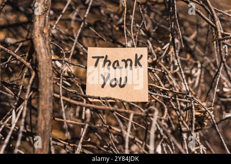 Dankeschön geschrieben und gezeichnet auf recyceltem Karton mit strukturiertem Baumrindenhintergrund. Stockfoto