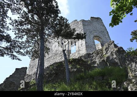 Burgruine Moedling, Österreich, Europa Stockfoto