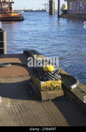 Die St. Pauli Piers sind der größte Anlegeplatz im Hamburger Hafen und auch eine der wichtigsten Touristenattraktionen Hamburgs.- aufgenommen 2015 Stockfoto