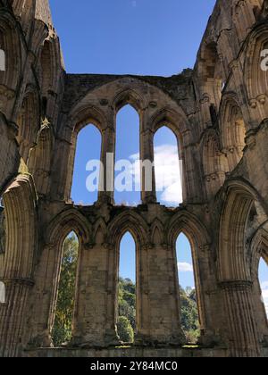 Die 1132 gegründete Rievaulx Abbey war die erste Zisterzienserabtei im Norden Englands. Vereinigtes Königreich Stockfoto