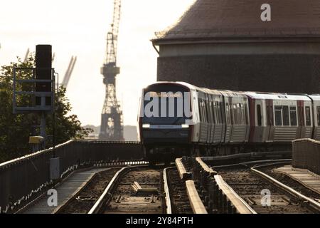 U-Bahn, Hamburger Verkehrsverbund HVV, Nahverkehr, Bahnstrecke im Abendlicht mit fahrendem Zug der U-Bahn-Linie U3 am Bau Stockfoto