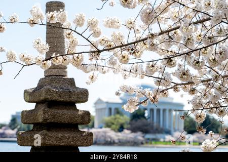 WASHINGTON DC, USA – die japanische Pagode im Tidal Basin in Washington DC ist ein Geschenk der Stadt Yokohama aus dem Jahr 1957 und ein Symbol der Freundschaft zwischen Japan und den Vereinigten Staaten. Diese malerische Szene mit der Pagode, die von blühenden Yoshino-Kirschbäumen eingerahmt ist, ist ein Höhepunkt des National Cherry Blossom Festival, das Besucher aus der ganzen Welt anzieht. Stockfoto