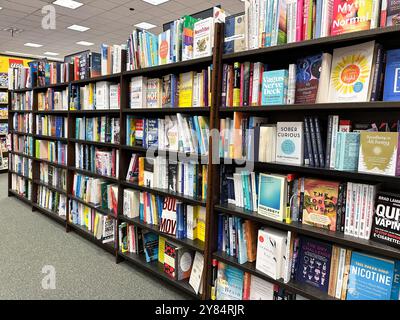 Große Auswahl an Büchern in den Bücherregalen des Buchhändlers Barnes und Noble. Stockfoto