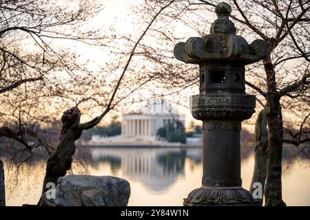 WASHINGTON DC, USA – Kirschblüten 360 umgeben von blühenden Yoshino-Kirschbäumen, steht die historische japanische Steinlaterne im Tidal Basin in Washington DC als Symbol der Freundschaft zwischen Japan und den Vereinigten Staaten. Diese legendäre Szene, die während des National Cherry Blossom Festivals aufgenommen wurde, zeigt die kulturelle Fusion und diplomatische Beziehungen, die durch die jährliche Frühlingsblüte repräsentiert werden. Stockfoto