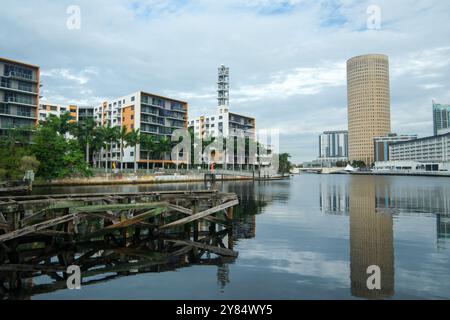 Tampa, FL, USA - 1. Oktober 2024 - Waterfront Tampa Downtown mit Apartments und Skyline Stockfoto