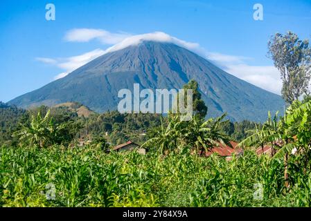 Der Mt. Muhavura im Mgahinga Gorilla Nationalpark - Kisoro Uganda Stockfoto