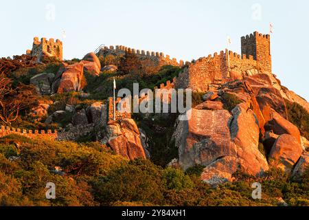 SINTRA, Portugal – die maurische Burg (Castelo dos Mouros) steht prominent auf einem Hügel über der Stadt Sintra mit dem goldenen Sonnenlicht am späten Nachmittag. Diese mittelalterliche Festung mit ihren Steinmauern, die sich entlang des Berges schlängeln, bietet eine dramatische Silhouette am Himmel und bietet einen beeindruckenden Blick auf die umliegende Landschaft. Stockfoto