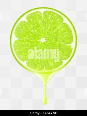 Limettensaft tropft aus frischer, reifer Limette, isoliert auf transparentem Hintergrund. Grüne, reife Limette mit frischem Saft. Helles tropisches Sommerdesign. Realistisch Stock Vektor
