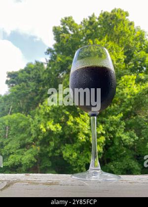 Ein Glas kaltes Guinness-Bier in einem Weinglas Stockfoto