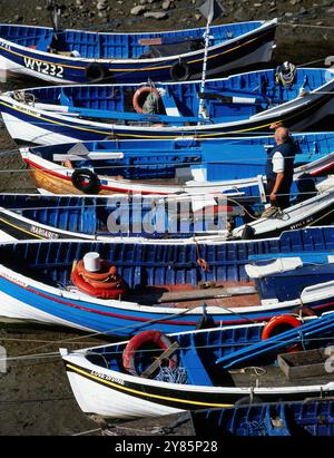 Eine Reihe kleiner, hübscher, blauer und weißer traditioneller Klinker-Boote aus Holz im Hafen von Staithes, North Yorkshire, England, Großbritannien Stockfoto