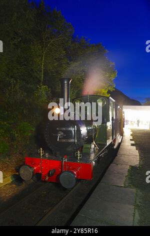 Nr. 2, Dolgoch, Lokomotive, Nacht, Bahnhof Abergnolwyn, Tal y Llyn Railway, Nordwales, Stockfoto