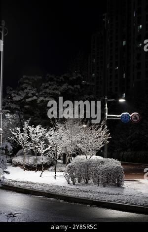 Eine friedliche, verschneite Nacht in Gurae-dong, Gimpo, Südkorea. Bäume, die unter der Straßenlaterne mit frischem Schnee bedeckt sind, schaffen eine ruhige, ruhige Winteratmosphäre. Stockfoto