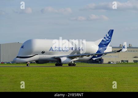 Airbus A300-600ST, XL 4, Beluga, Hawarden, Flughafen, Broughton, Wales, Vereinigtes Königreich, Stockfoto