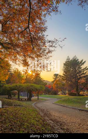 Eine ruhige Herbstszene mit einem warmen Sonnenuntergang über der Landschaft, mit einem Pfad, der durch Bäume mit farbenfrohen Blättern verläuft. Stockfoto