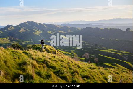 Mann, der auf dem Hügel steht. Te Mata Peak. Hawke's Bay. Stockfoto