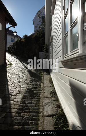 Steile, schmale Kopfsteinpflasterstraße und traditionelle Holzhäuser, Stavanger, Norwegen. Stockfoto