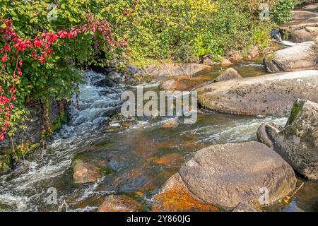 Chaos am Küstenfluss Aven bei „Bois d'Amour“ in Pont-Aven. Stockfoto