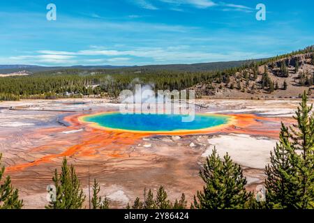 Die farbenfrohe Grand Prismatic Spring im Yellowstone National Park, USA Stockfoto