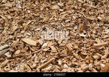 Holzspäne auf dem Sägewerksboden in Nahaufnahme. Hintergründe und Texturen Stockfoto