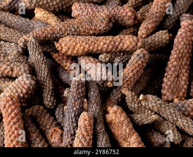 Angeordnete lange Pfefferkörner schaffen einen reichhaltigen Hintergrund für Speisen und verleihen Gerichten mit aromatischen Piper Longum Gewürzen in Brauntönen Tiefe. Ideal zum Kochen Stockfoto