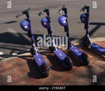 Reihe von violetten Beam Elektrorollern, die an der Straßenecke in Adelaide, Australien, geparkt sind. Stockfoto