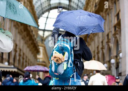 Mailand, Italien. Oktober 2024. Maltempo e pioggia a Milano - Cronaca - Milano, Italia - Giovedì, 03 Ottobre 2024 (Foto Marco Cremonesi/LaPresse) Schlechtes Wetter und Regen in Mailand - Nachrichten - Mailand, Italien - Donnerstag, 03. Oktober 2024 (Foto Marco Cremonesi/LaPresse) Credit: LaPresse/Alamy Live News Stockfoto