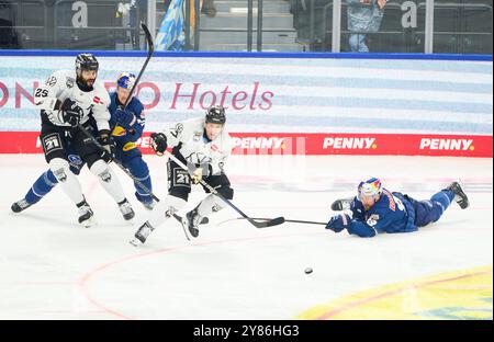 München, Deutschland. Oktober 2024. Matthew White, Grizzlys WOB 97 Darren Archibald, Grizzlys WOB 25 konkurrieren, zweikampf, Kampf um den Puck gegen Maximilian KASTNER, EHC RB MUC 93 Patrick HAGER, EHC RB MUC 52 im Penny DEL Match EHC RB MÜNCHEN - GRIZZZLYS WOLFSBURG 7-4 im SAP Garden in München, Deutschland, 2. Oktober 2024. Saison 2024/2025, Spieltag 5, Fotograf: ddp Images/STAR-Images Credit: ddp Media GmbH/Alamy Live News Stockfoto