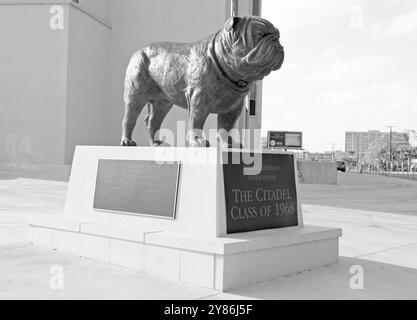 Bulldog Maskottchen-Statue vor dem Johnson Hagood Stadium in der Zitadelle in Charleston, South Carolina, USA. Stockfoto